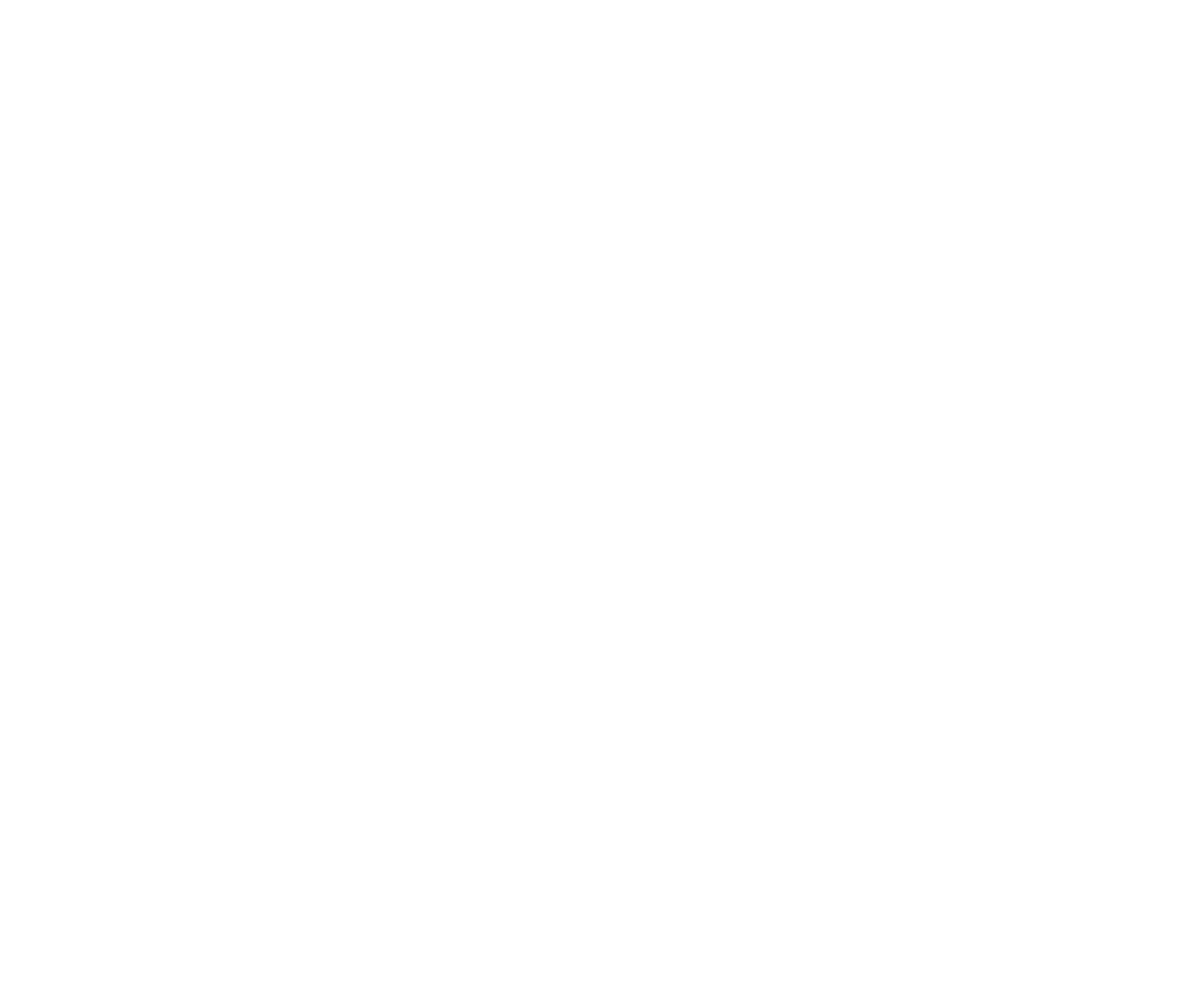 The Vig